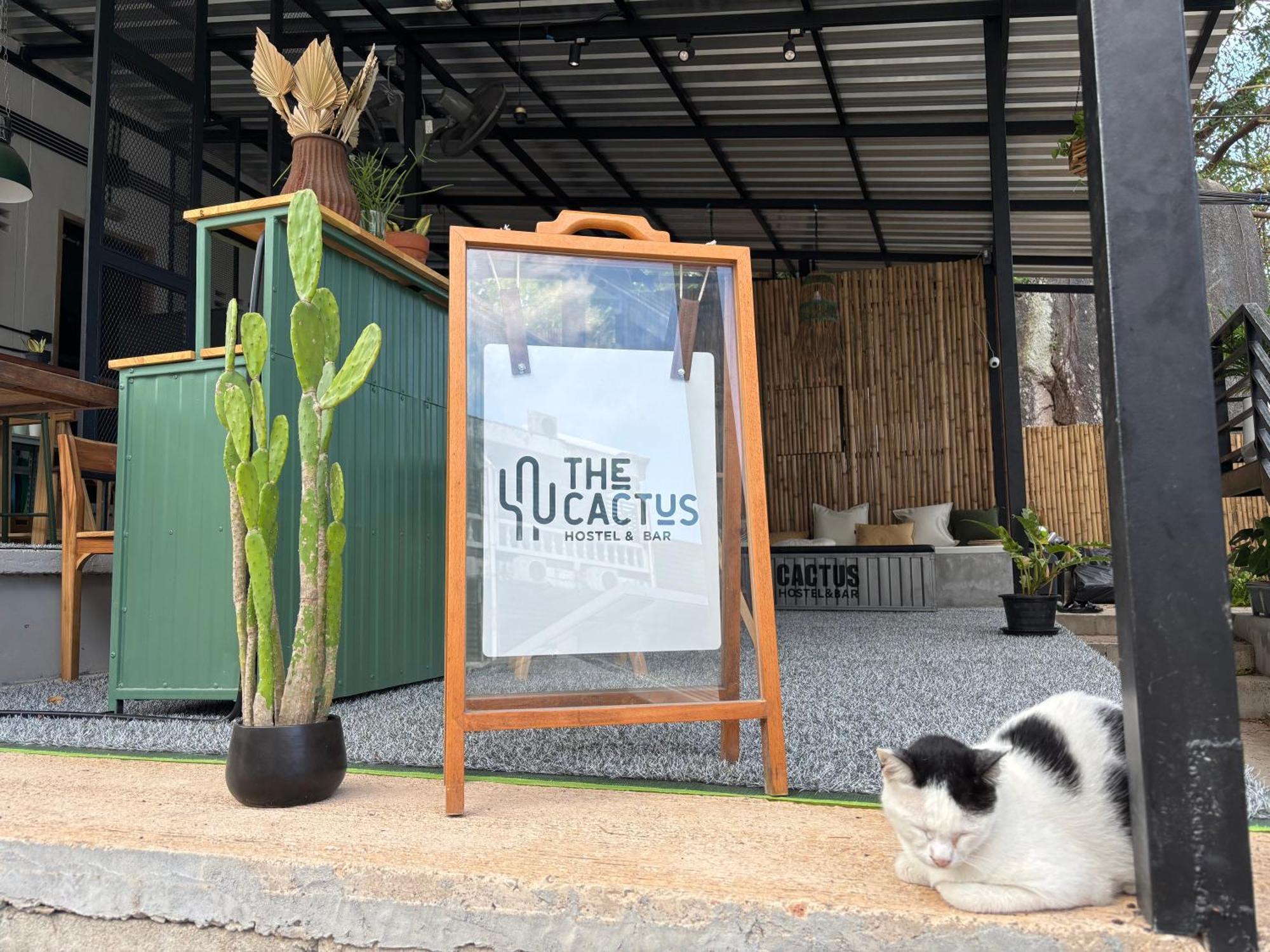 タオ島 Cactus Boutiqueホステル エクステリア 写真