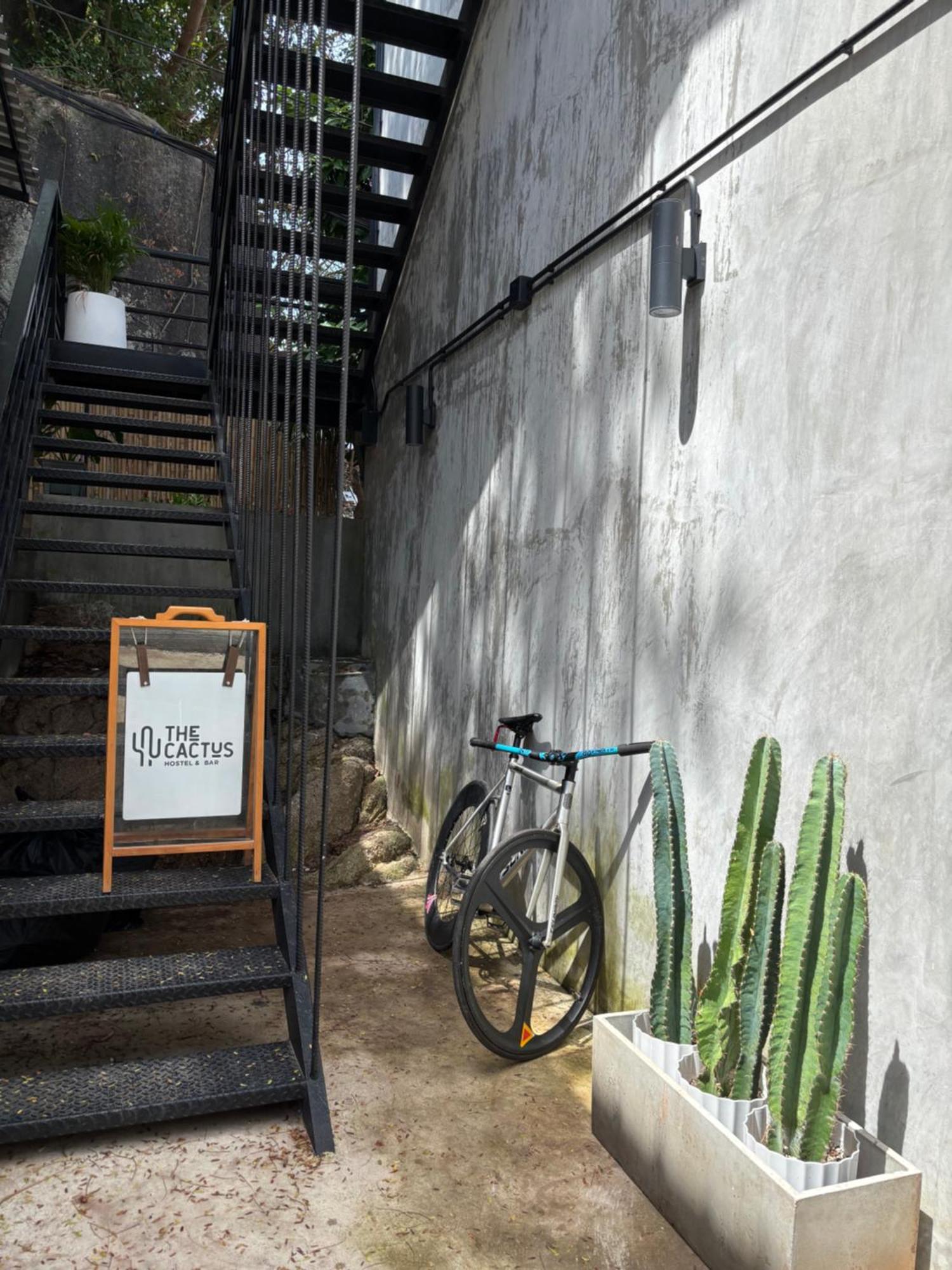 タオ島 Cactus Boutiqueホステル エクステリア 写真